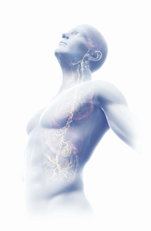 Nerve Stimulation